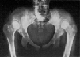 St_viv4s.bmp (5640 bytes)