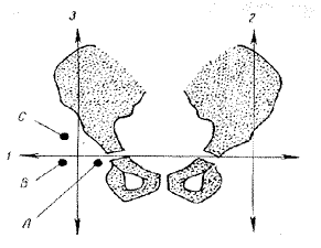 Ombred.bmp (139480 bytes)