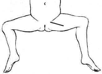 D_L_med.jpg (10659 bytes)
