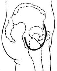 D_M_L.jpg (14571 bytes)
