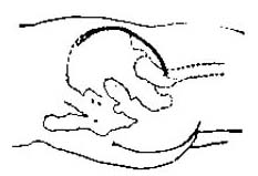 Kening1.jpg (13451 bytes)