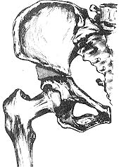 OST2.jpg (17768 bytes)