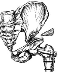OST3.jpg (18361 bytes)