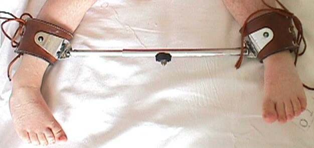 Shina_vel2.jpg (26170 bytes)