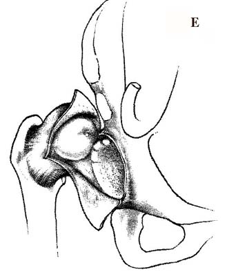 otkr_vprE.jpg (26757 bytes)